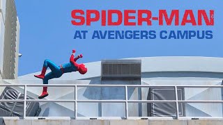 Spider-Man Show at Avengers Campus