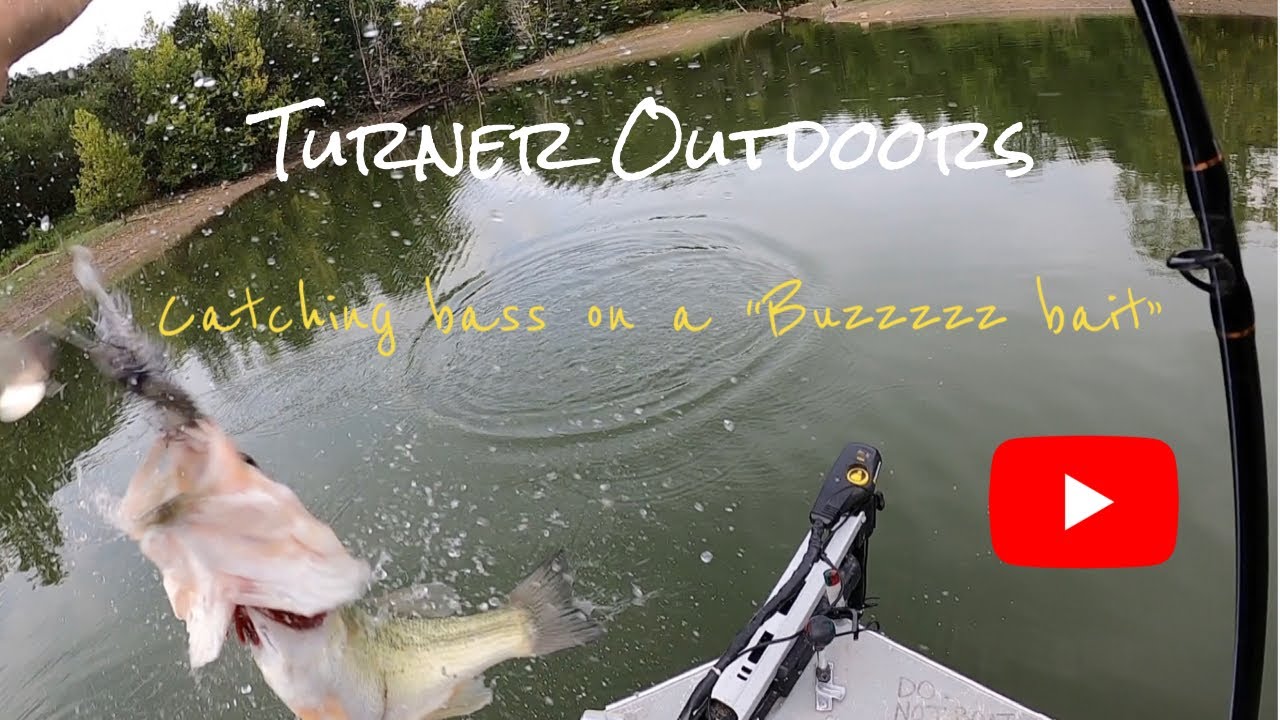 Bass fishing Norris Lake End of August