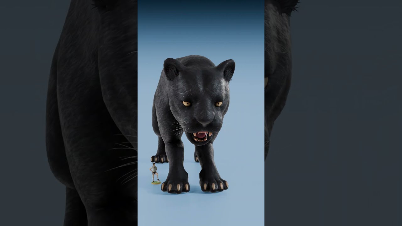 House Cat Vs Lion
