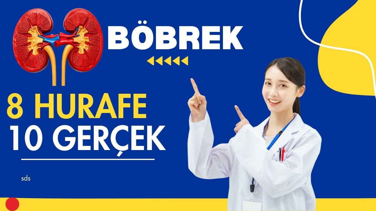 Böbrek, Hurafe, Gerçekler, Pratik, Sağlık, Sağlık, Prof.Dr.Serdar Akgün