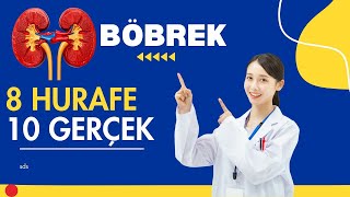Böbrek, Hurafe, Gerçekler, Pratik, Sağlık, Sağlık, Prof.dr.serdar Akgün