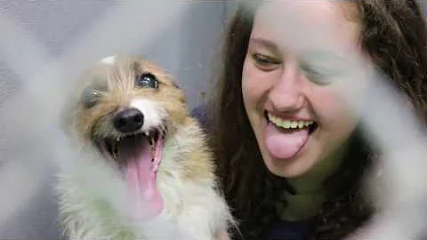 NDNTV for April 21, 2017