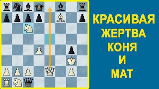 КРАСИВАЯ ЖЕРТВА КОНЯ И МАТ! Шахматы для начинающих.