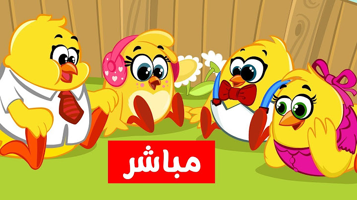 Katakit Baby Live  هالصيصان  اغاني بيبي واغاني اطفال | مباشر كتاكيت بيبي