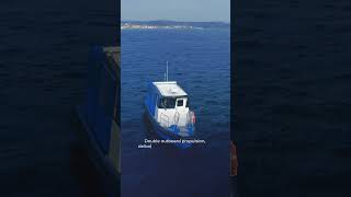 🌊 ProZero 8M P-Top – Fast, Light &amp; Built for Demanding Work