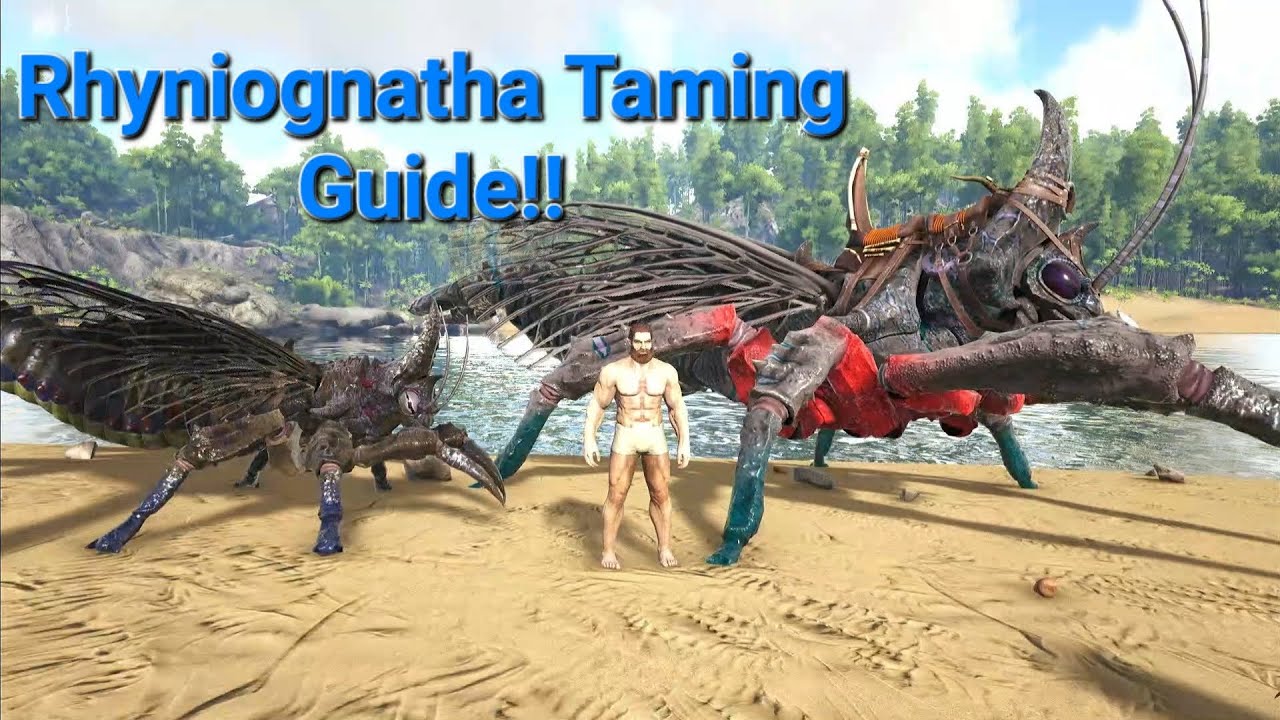 How To Tame Rhyniognatha Easy Ark Survival Evolved New Dino YouTube How To Tame Rhyniognatha Easy Ark Survival Evolved New Dino YouTube