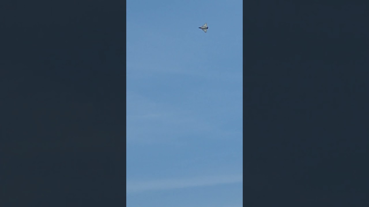 Requin Mike Rafale display