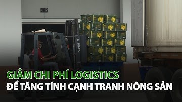 Giảm chi phí Logistics để tăng tính cạnh tranh Nông Sản| VTC14