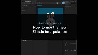 New Elastic Interpolation