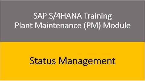 Video 28 - SAP S/4HANA Plant Maintenance (PM) module Training : Status Management