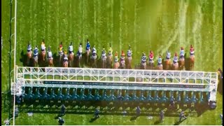 Are you ready for the 2022 Melbourne Cup?