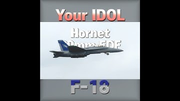 Your IDOL, F-18 Hornet, FMS 80mm EDF