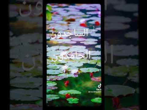 ياقلبي فاز الصائمون