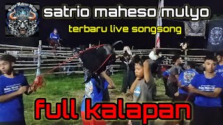 satrio maheso mulyo‼️full kalapan‼️terbaru live songsong ardimulyo