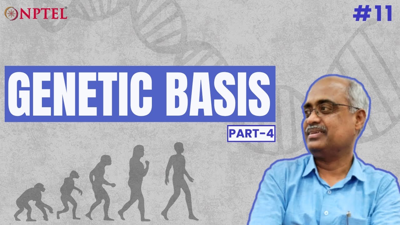 basis (Part 4 of 5) YouTube