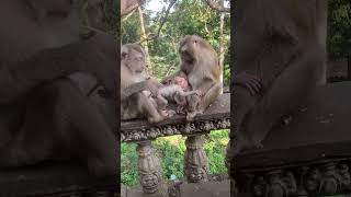 IMG 6178
