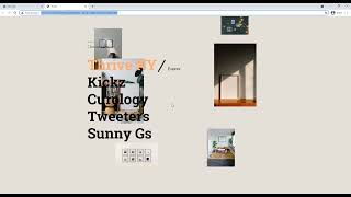 Portfolio Viewer Widget | Tutorial by MuseThemes.com