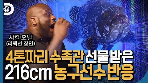 농구장, 당구장 있는 대저택에 4톤짜리 수족관 설치했지 뭐야~ 샤끄! [아쿠아 가이즈]