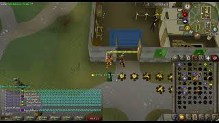 Apologizing for getting 99 Firemaking in Old School Runescape