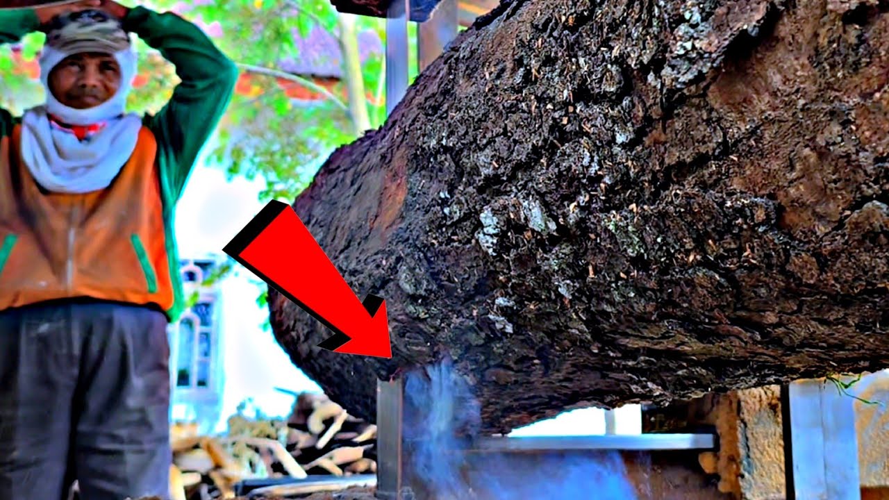 “This Massive Log Almost Destroyed the Sawmill 😱” - YouTube