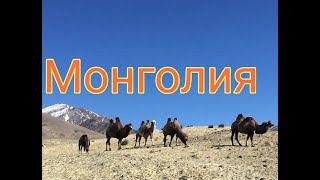 В Монголию 🐂🐫на машине через Горный Алтай. #монголия#автопутешествие