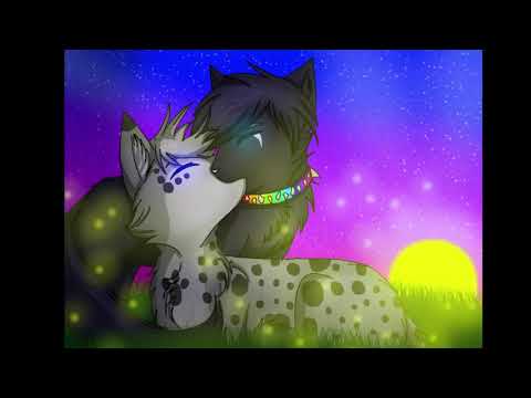Warrior cat * Dark Side