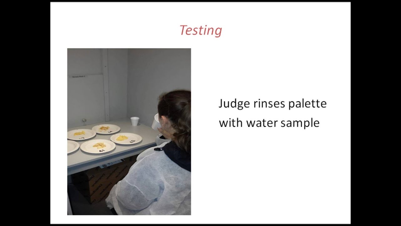 Duo Trio Test Video YouTube