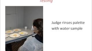 Duo Trio Test Video