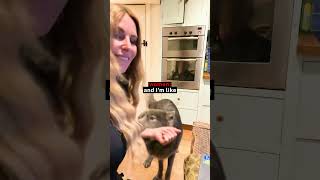 This Dog Is Too Smart 🤯🐕