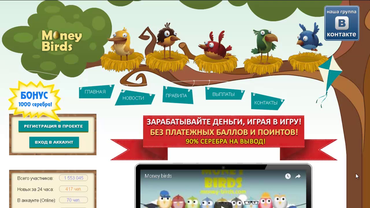 Новый Money Birds. Сколько можно заработать?