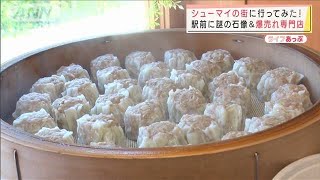 「ライバルは宇都宮」鹿沼市がシューマイで町おこし(2021年11月3日)
