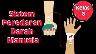Kelas 8 - IPA - Sistem Peredaran Darah Manusia | Video Pendidikan Indonesia