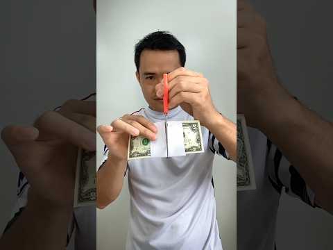 Cutting Money Dollars