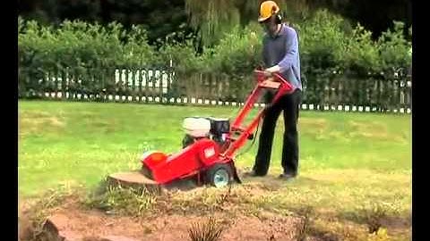 Camon C500 Tree Stump Grinder