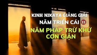 Kinh NIKAYA Giảng Giải - Năm Triền Cái 11 - Năm Pháp Trừ Khử Cơn Giận