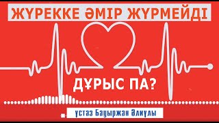 Гарантия қор болмайсың! ұстаз Бауыржан Әлиұлы 💚 АЛИ студиясы