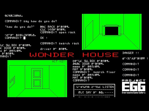 動画