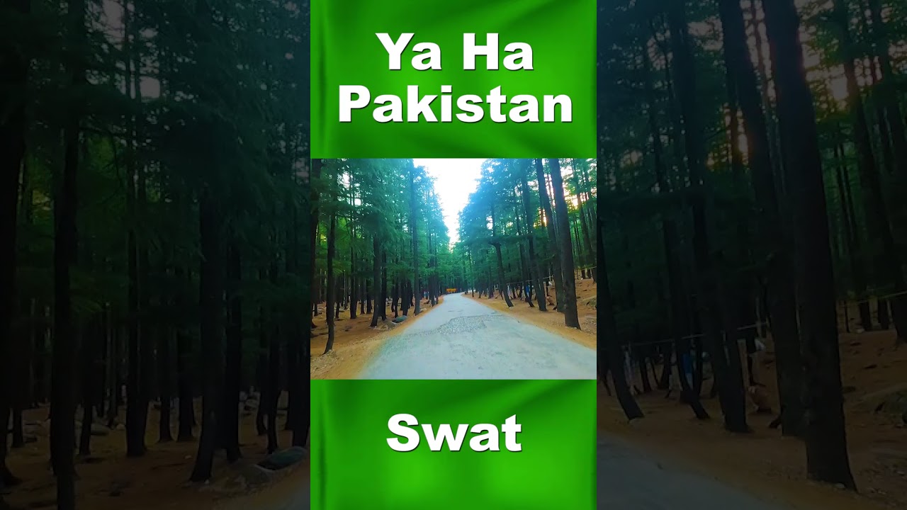 Ushu Forest - Kalam Jungle | Beautiful Swat Pakistan | Trek