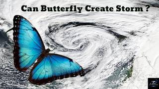Can a Butterfly Cause a Storm The Butterfly Effect Explained