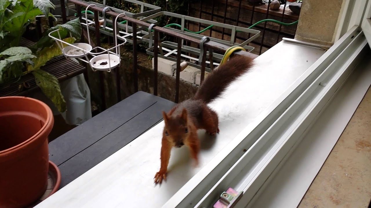 Unser "Gastkind" bei der KinderTagespflegestelle
