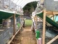 Rabbitry update 30 cages, 30 does, 30 days later Rabbitry update 30 cages, 30 does, 30 days later