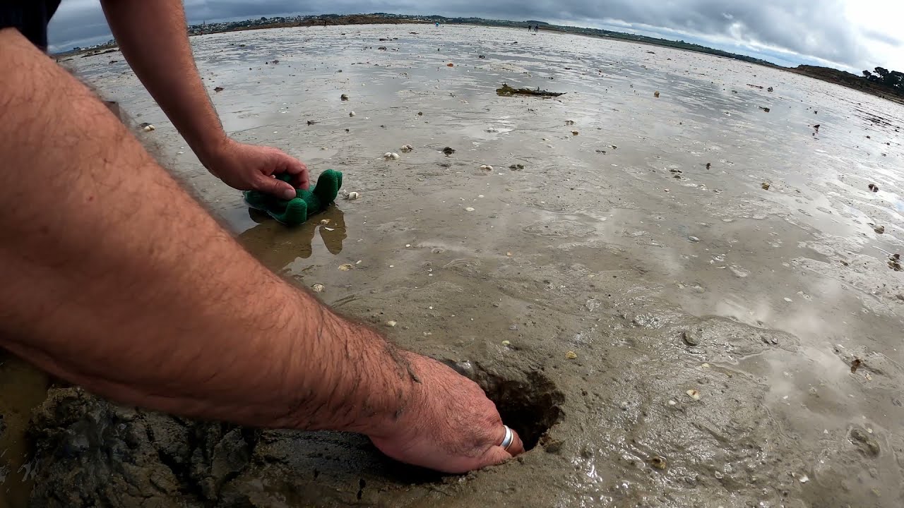 A la recherche de la Mye