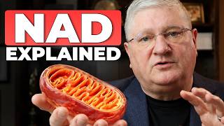 Can NAD Supplements Really Improve Your Mitochondria?