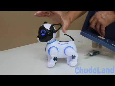Распаковка игрушки: Собака-робот на р/у 2629-T9B