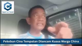 Pekebun Cina Tempatan Diancam Kuasa Warga China