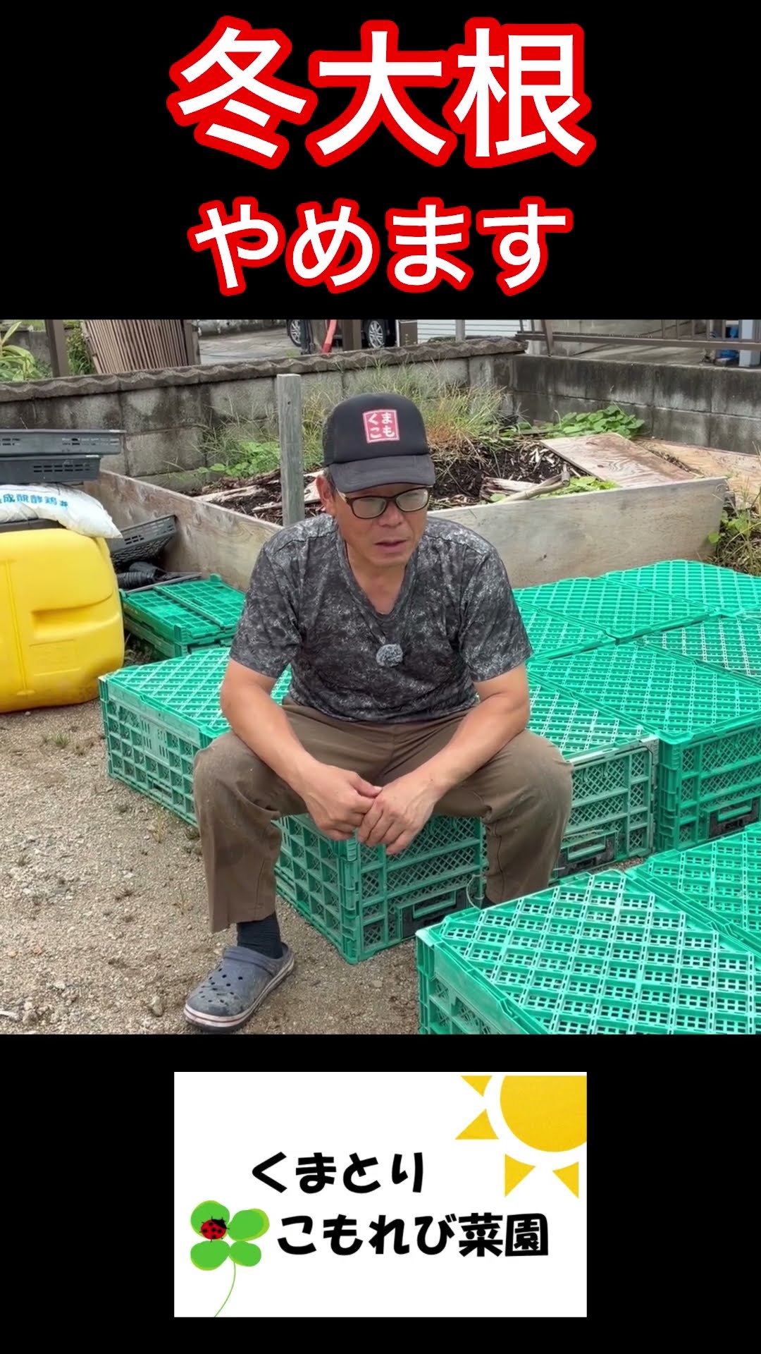 Why I stopped planting daikon radishes #homesteading