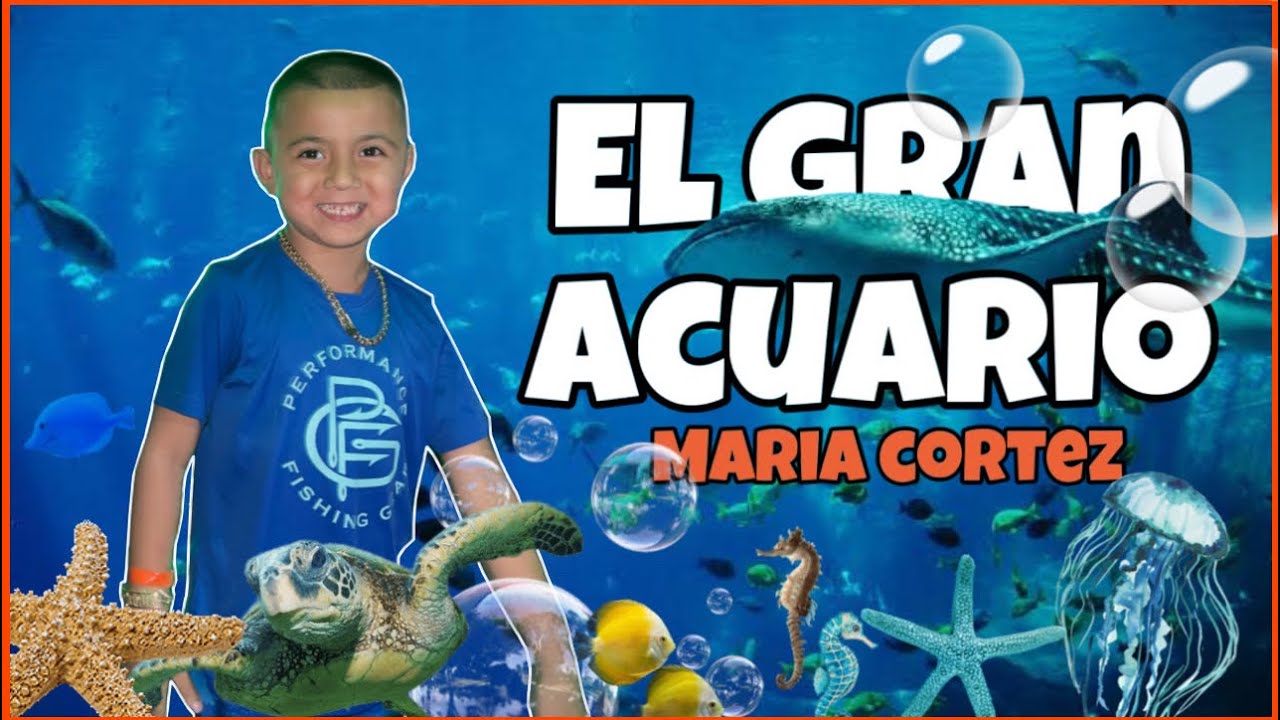 Visitamos el ACUARIO más GRANDE de toda LATINOAMERICA! - YouTube