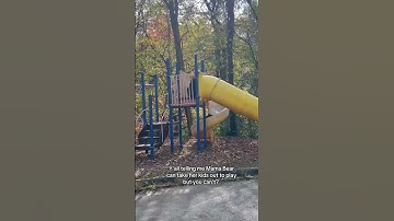 Ook beren kunnen zich vermaken in het park 😂 (via vetaarnaut)