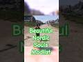 Nordic Souls looks good