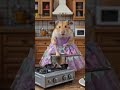 ​Tiny Chef: Butterfly Soup Surprise